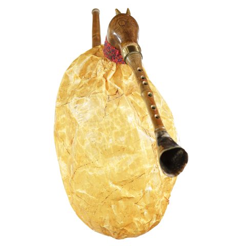 Sierszeńki jednopęcherzowe